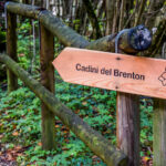 Sentiero per i Cadini del Brenton - Lago del Mis (Belluno)