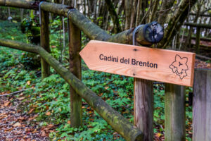 Sentiero per i Cadini del Brenton - Lago del Mis (Belluno)
