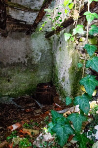 Interno casa abbandonata nel bosco del lago del corlo