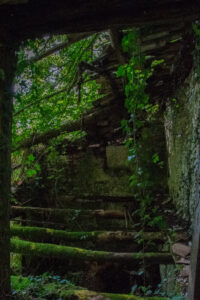 Tetto di una casa abbandonata nel bosco