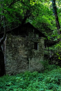 Casa abbandonata nel bosco del lago del Corlo