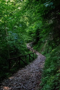 sentiero per continuare il giro del lago del Corlo