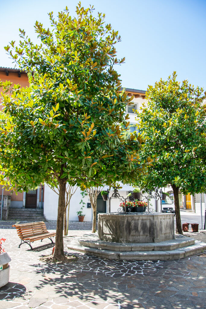 Fontana cinquecentesca in Piazza Cattaneo - San Daniele del Friuli