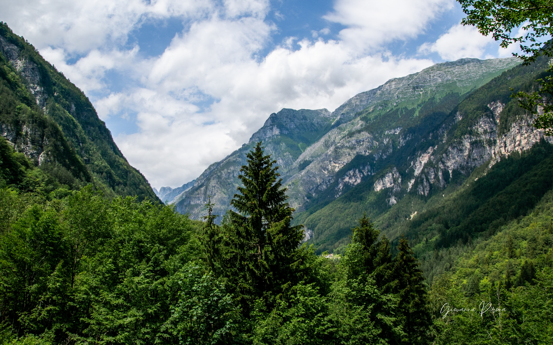 Panorama dal Fontanon di Goriuda