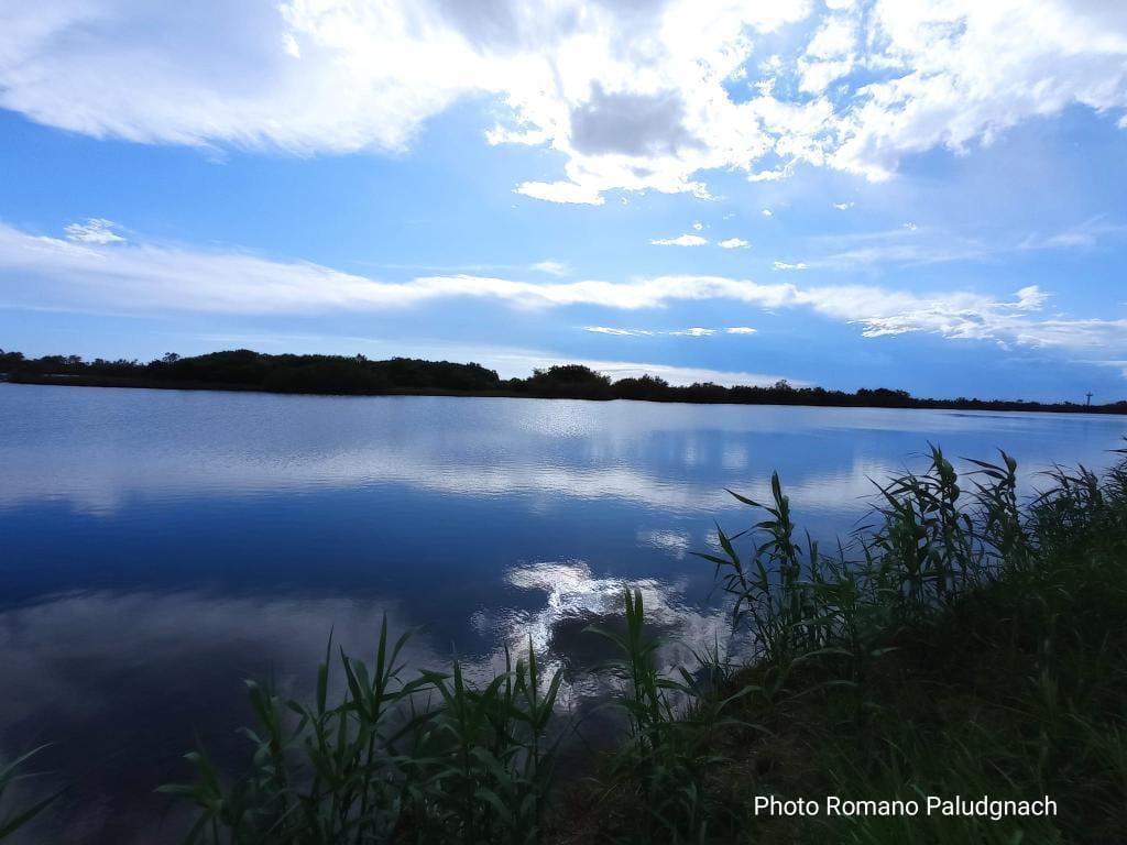 Fossalon di Grado (Riserva naturale Regionale Valle Cavanatta) - foto di romano_paludgnach