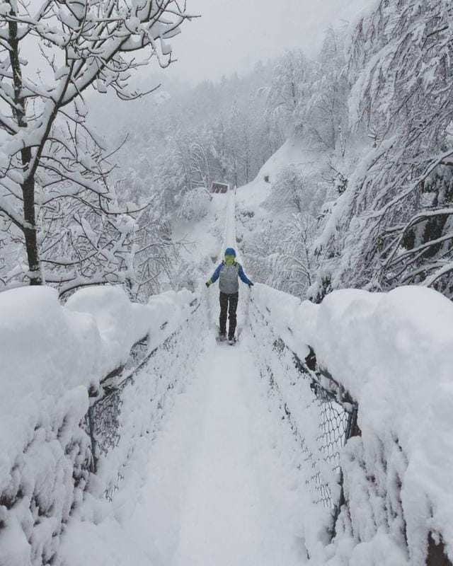 Ponte Tibetano, Valli del Pasubio (VI) - Veneto foto di @nicolodallamolle