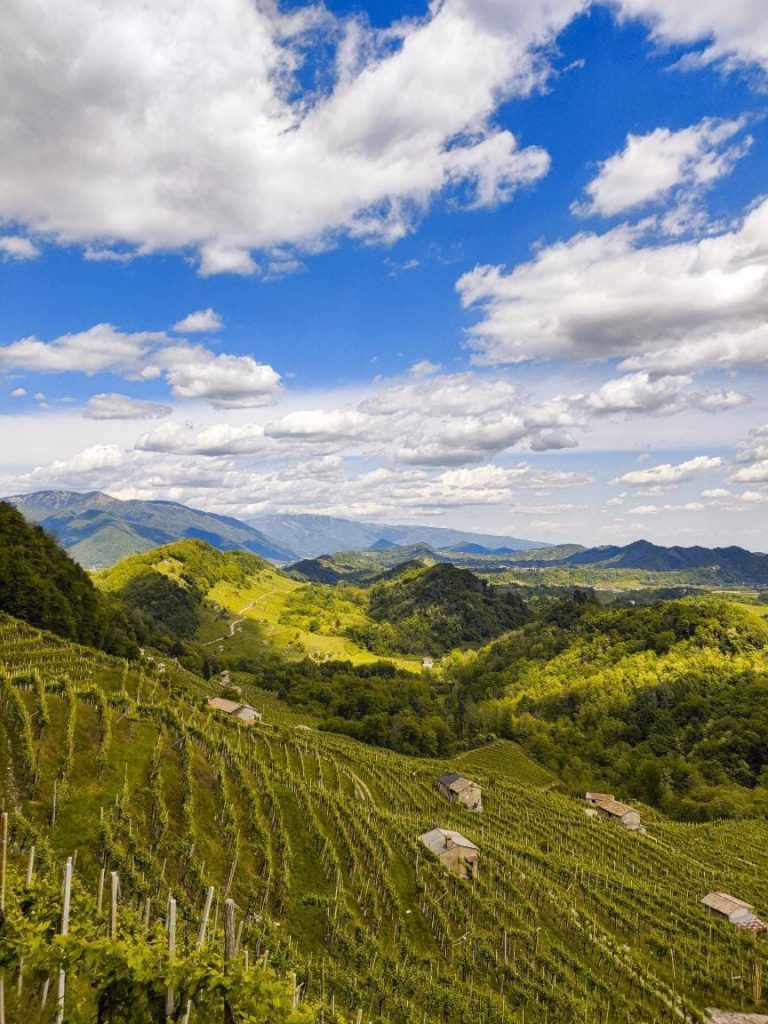 Colline del Prosecco Valdobbiadene (TV) - Veneto foto di @manuelcasagrandevideomaker