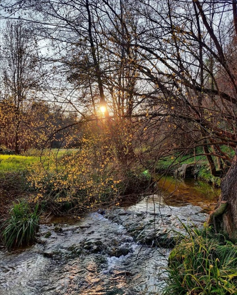 Sorgenti del fiume Muson a Castelcucco - foto di @smartveneto