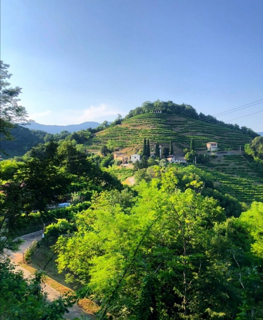  Colline del Prosecco (TV) - Veneto foto di @sui.colli.tour