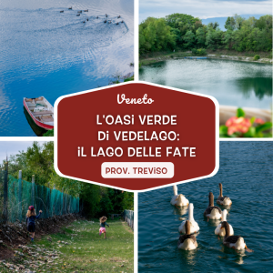 Il Lago delle Fate: l'oasi verde di Vedelago