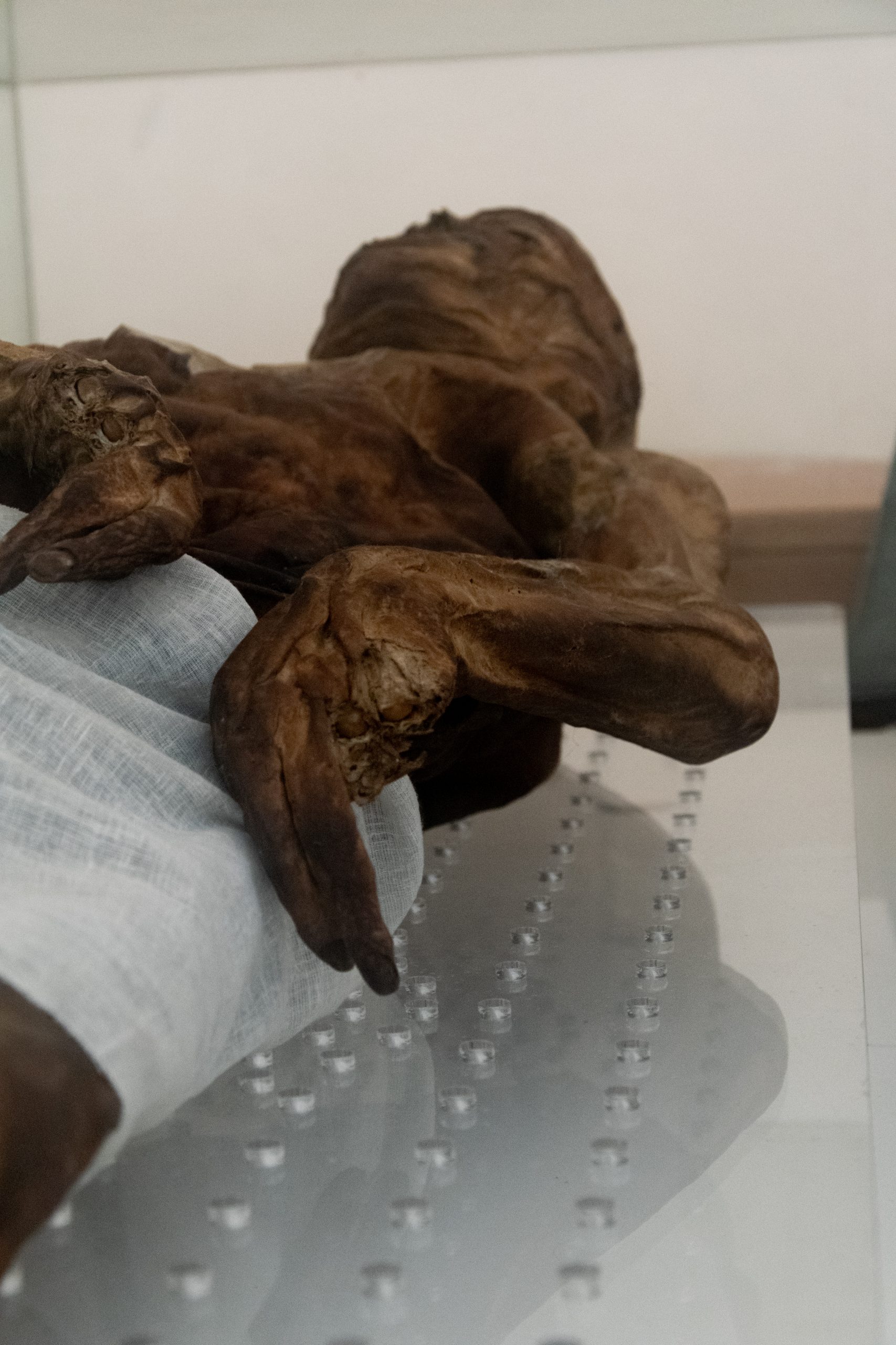 Mummie della La Cappella cimiteriale di San Michele a Venzone