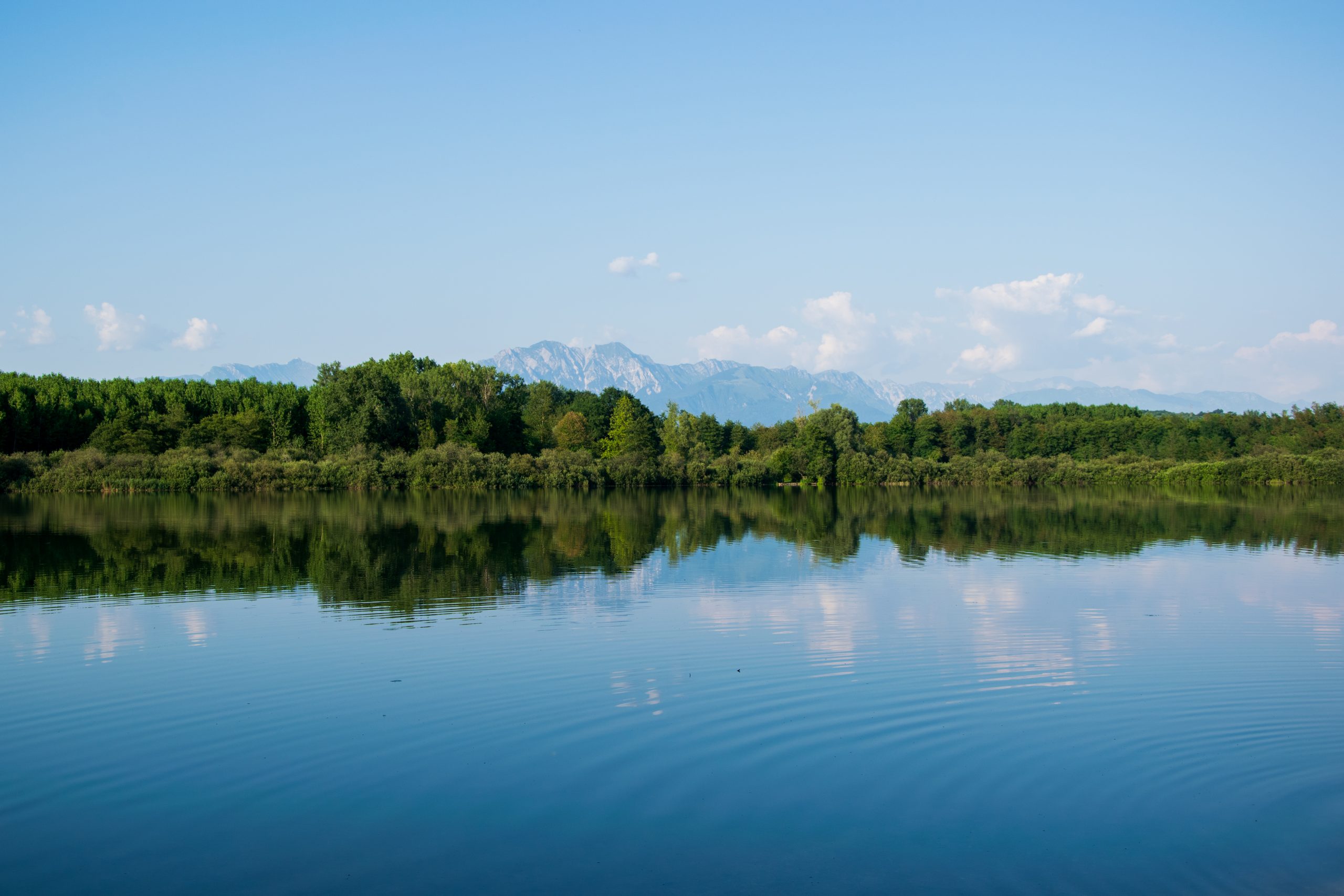 Pescare al Lago di Ragogna (Udine - Friuli)