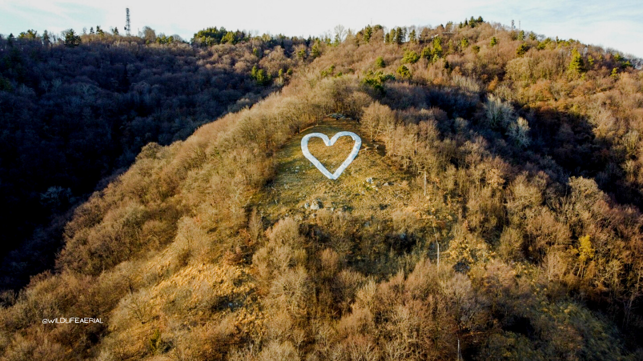 Come arrivare sul cuore bianco del Monte di Ragogna