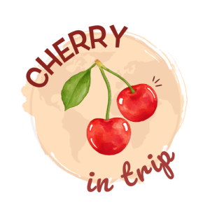 Logo Cherryintrip